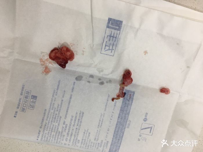 医院收费合理诊治迅速猫咪去绝育恢复也很快