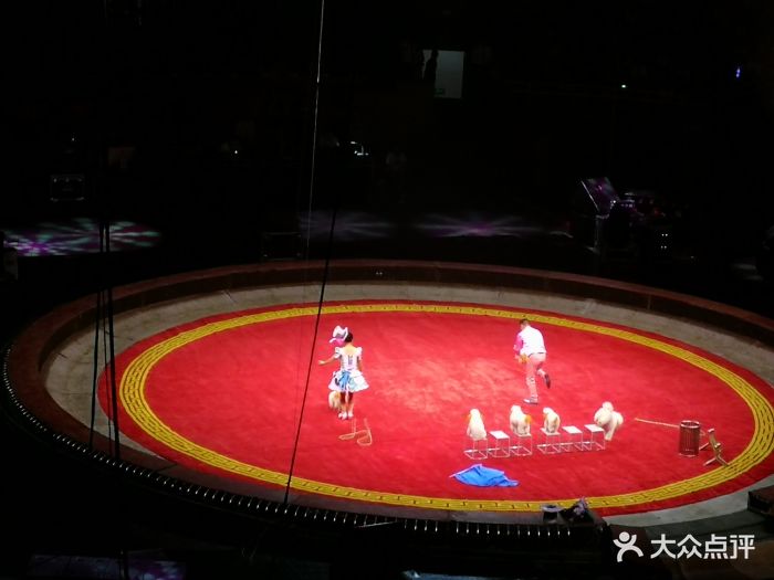 慕名而来买了球票,看中超国安和上港的比赛.