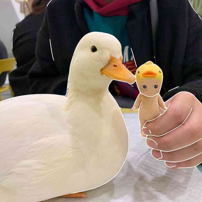 小花家柯尔鸭公社撸鸭俱乐部饮品店-"今天也要加油鸭!