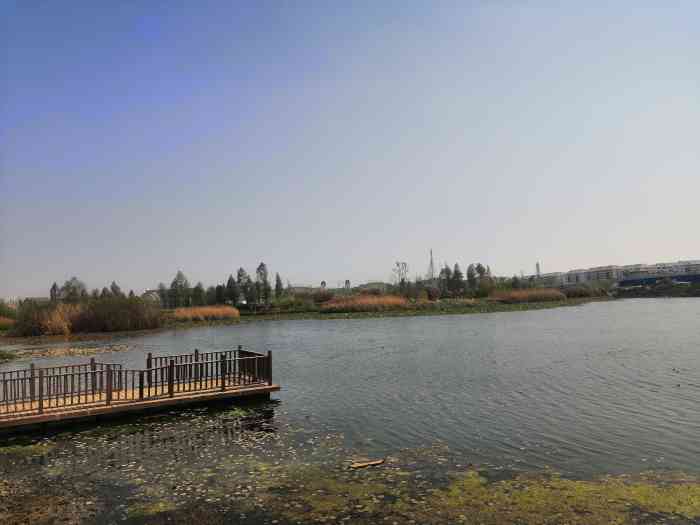 俊发西亮塘湿地公园