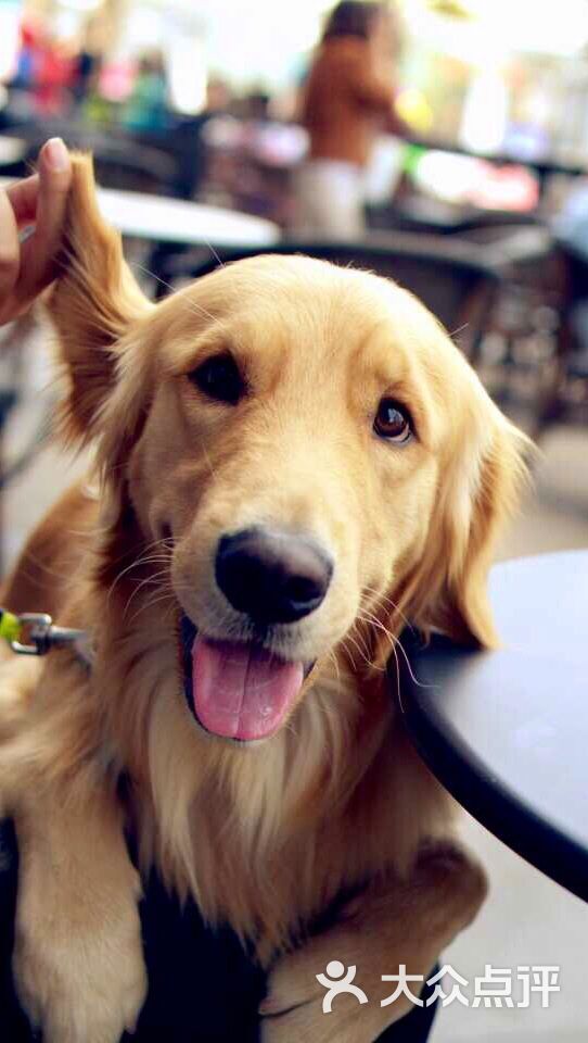 avatar_杨小胖胖瘦瘦