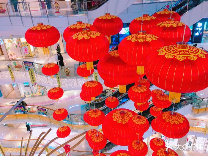 本来是冲着黑天鹅来的,但是既然有超豪华的.