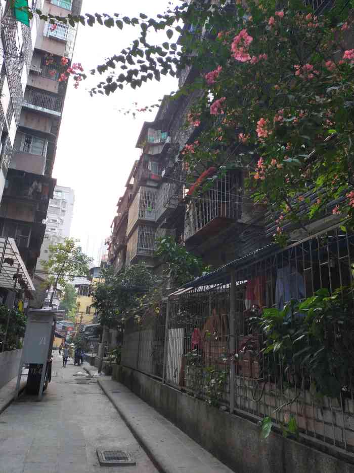 定安里小区算是老广州了文明路上的隐藏老街这里都是二三十年的旧房子