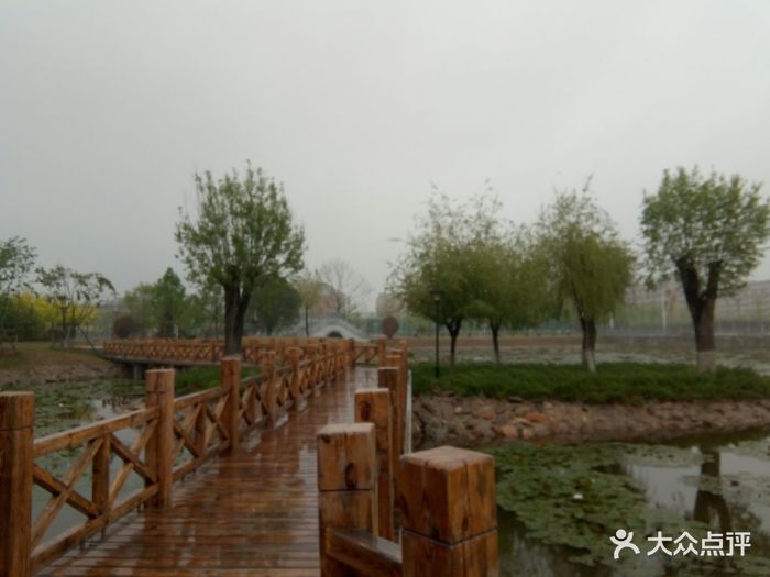 辽宁师范大学海华学院(庄河校区)图片 - 第4张