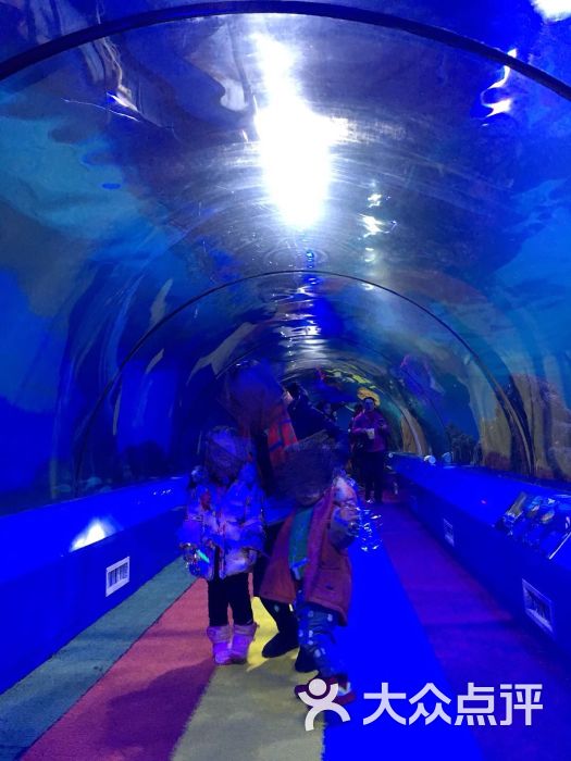 重庆欢乐海底世界图片 第4张