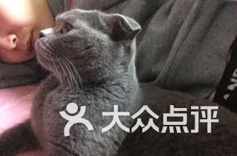 潍坊寿光经济总量排名_潍坊寿光火烧视频截图(3)