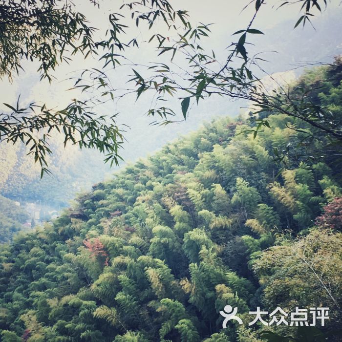杭州萧山云石山庄-图片-杭州休闲娱乐-大众点评网