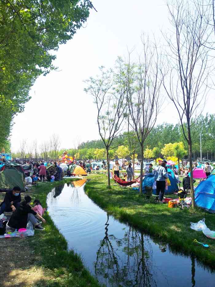 墅外桃源·户外野营-"位于韩家墅的一座郊野烧烤公园,环境挺干净.