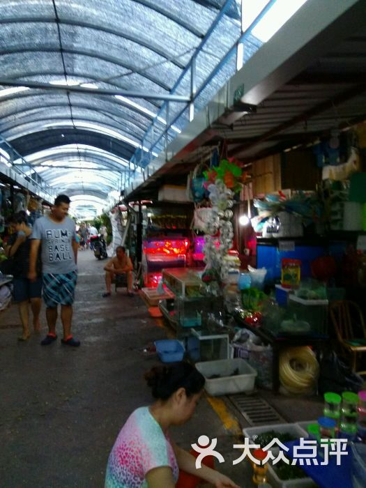 梅陇花鸟市场图片 第12张