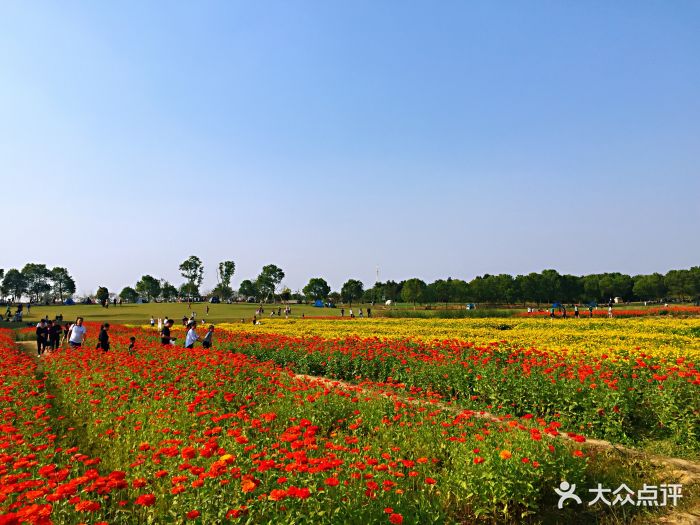 南京桠溪国际慢城度假区图片 - 第27张