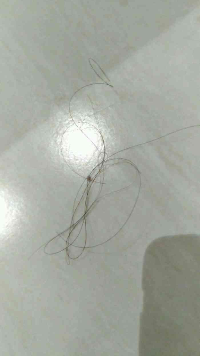 打分 打扫不卫生,还遗留前房客的一撮头发,真怀疑有进行清洁,通知清洁