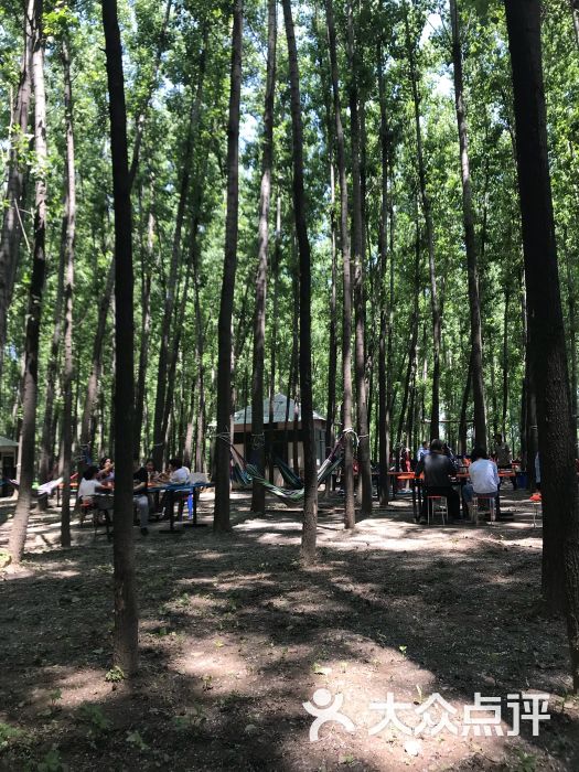 南山农艺园图片 第2张