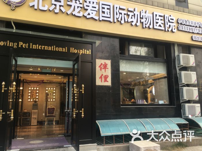 宠爱国际动物医院(科怡路店)-图片-北京宠物