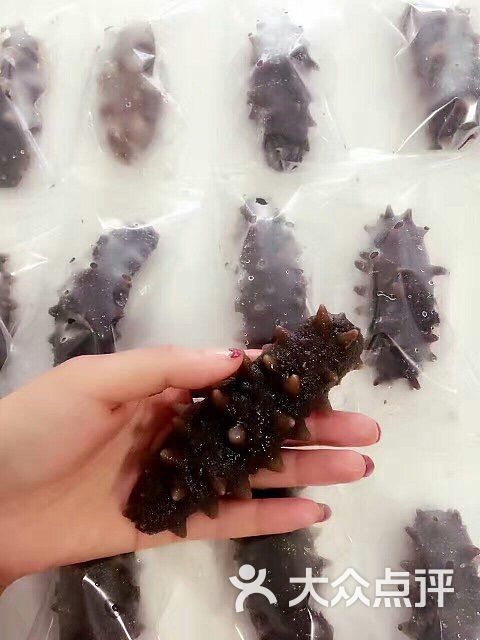 獐子岛海参专卖店-图片-南京购物