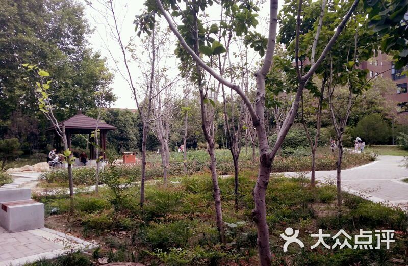 碧沙岗公园-图片-郑州周边游-大众点评网