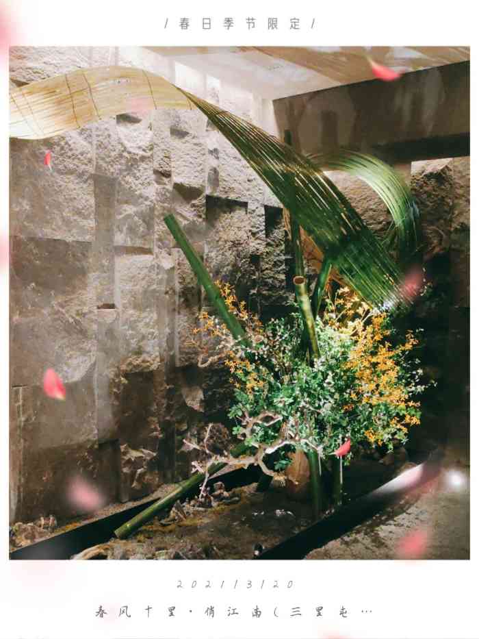 春风十里·俏江南(三里屯店)-"[薄荷]环境:通盈中心二