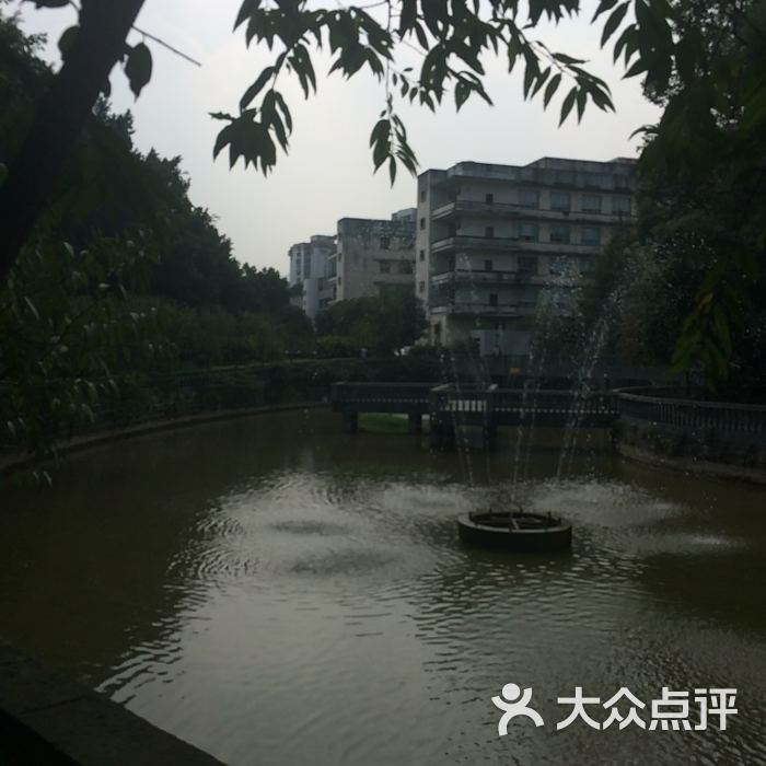 西南政法大学(沙坪坝校区)图片 - 第21张