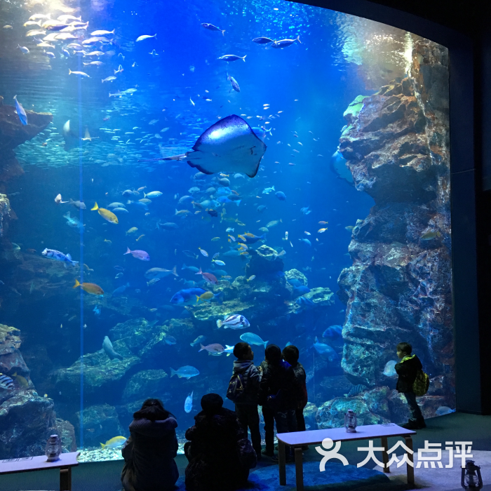 京都水族馆图片 - 第6张