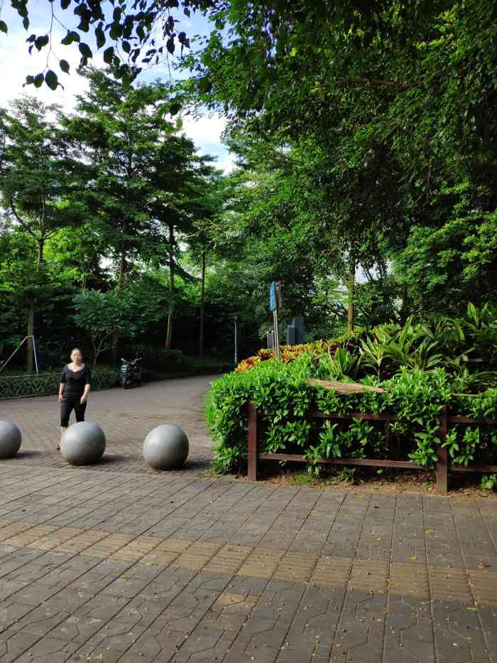 松坪山公园"在公司附近,经常出来吃饭都是走公园这条路.