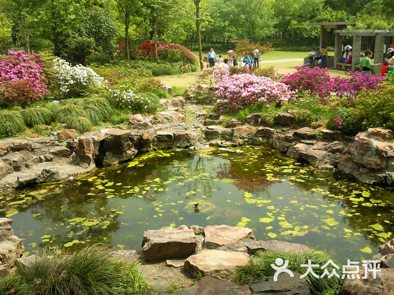 上海植物园景点图片-北京植物园-大众点评网