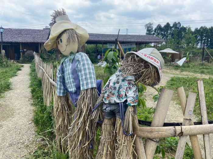 小草垛田野农场