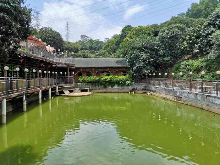 六约山庄客家食府(雁田店)-"主做客家菜,又来光顾!客家豆腐,蒜蓉生.