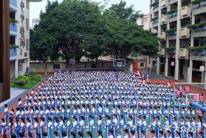 金兰苑小学图片