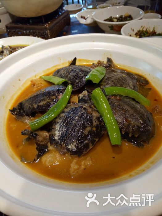 铁锅沙鳖