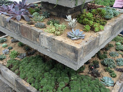 炮弹园艺多肉植物种植基地地址,电话,营业时间