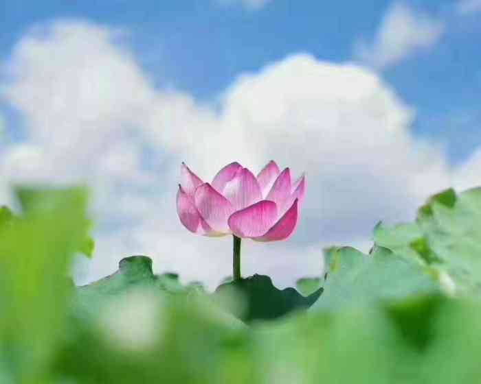 打分 1000 /人 太她**黑了 希望你们良心发现