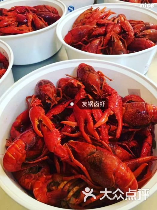 友锅卤虾卤味龙虾图片 - 第3张