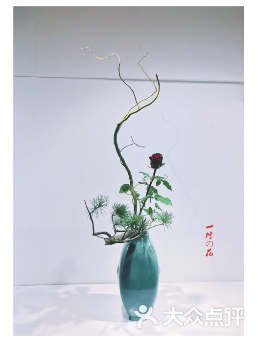 一修老师的插花作品