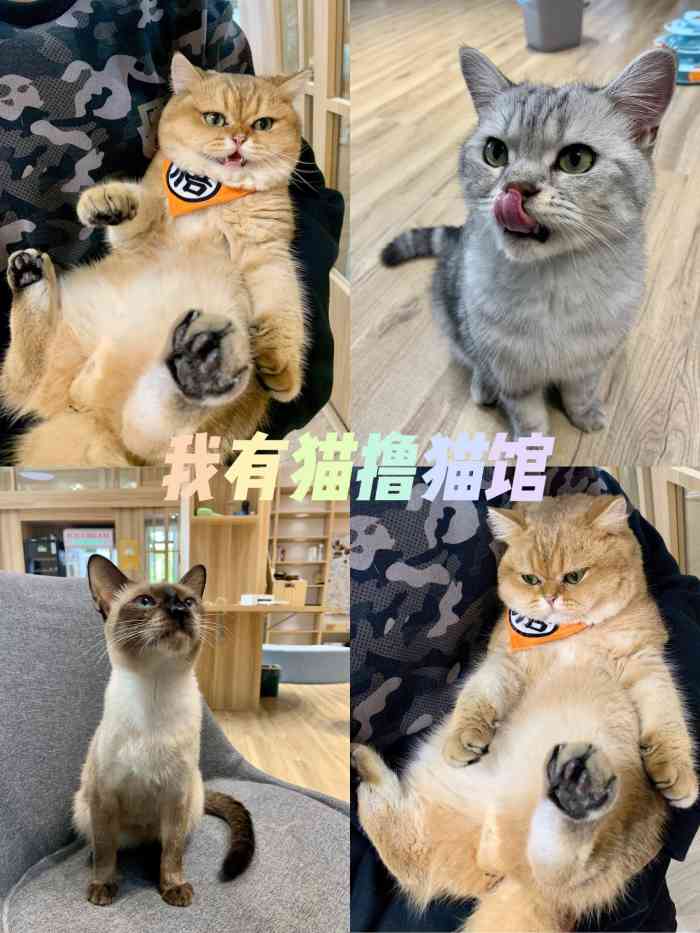 趣闲赚_趣闲赚能提现吗_闲鱼倒卖赚差价合法吗