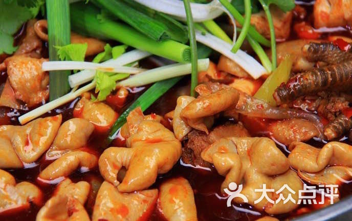 成都美食大众点评网|努力餐-图片