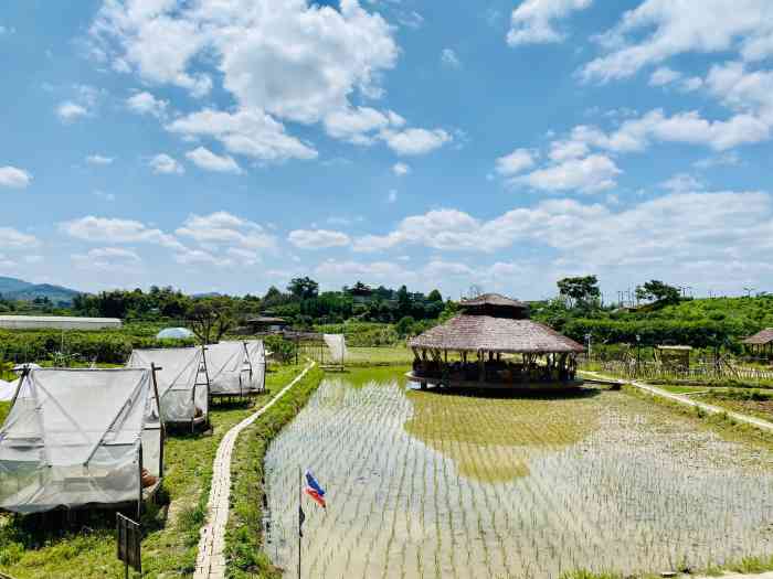 小草垛田野农场-"据说是个网红的景点,朋友圈看到有人