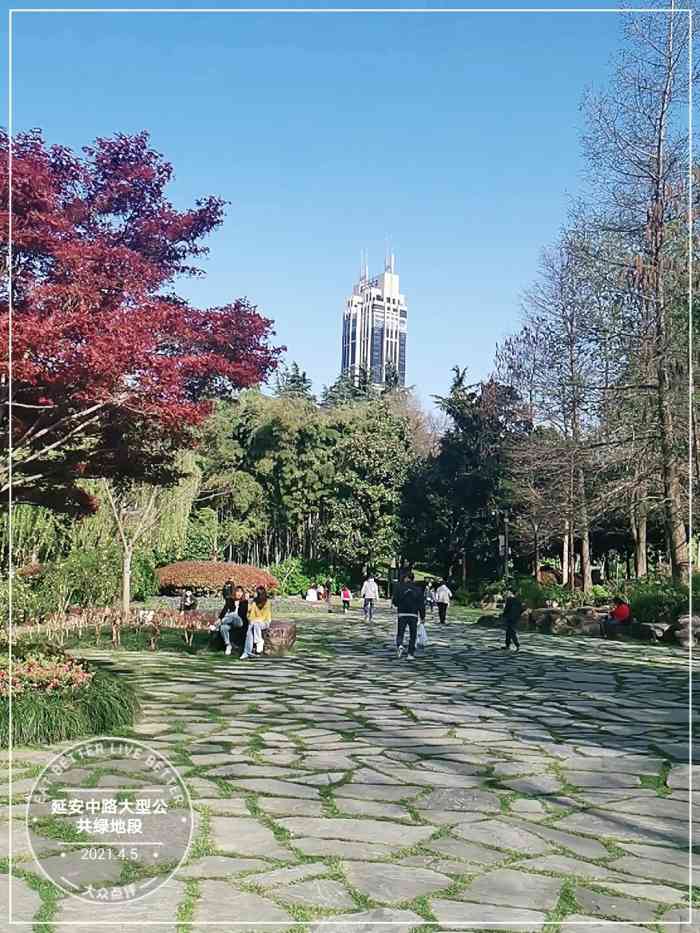 延安中路大型公共绿地段-"上海免费绿地公园之一,想着