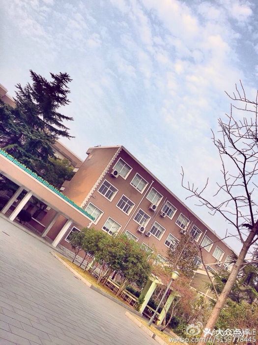 培佳双语学校图片 - 第32张