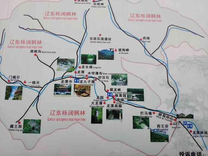 鞍山龙潭湾景区"乡下农村的菜园子就是好菜的味道也是顶呱呱.