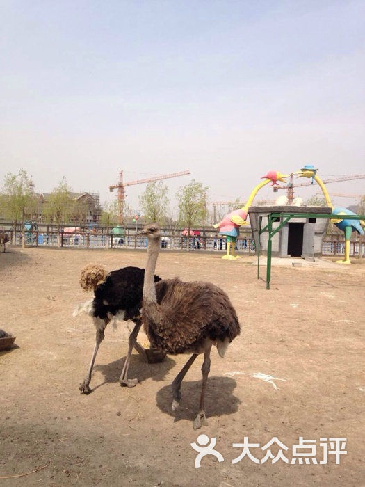 光合谷动物园