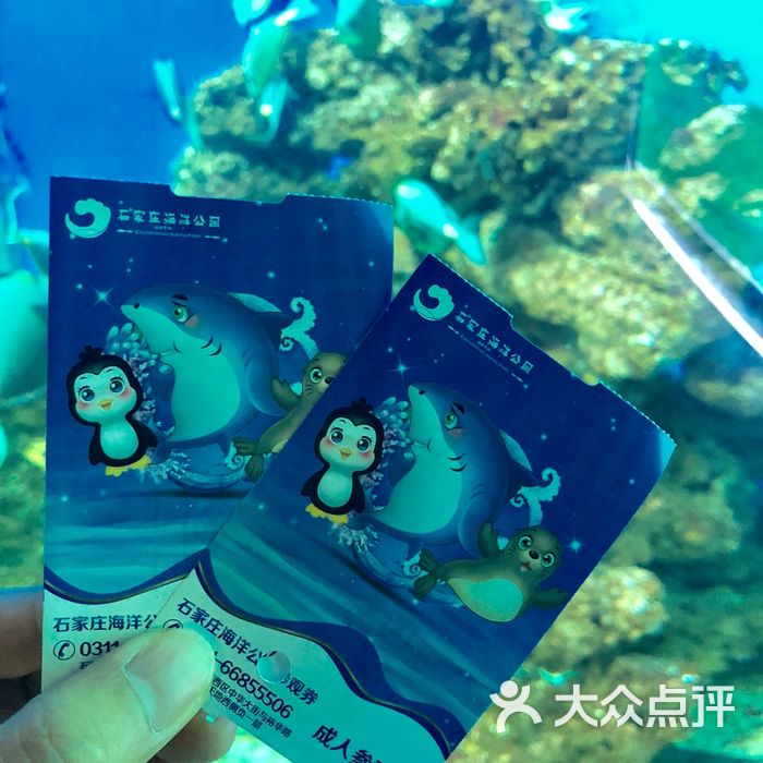 石家庄海悦天地海洋公园图片-北京海洋馆-大众点评网