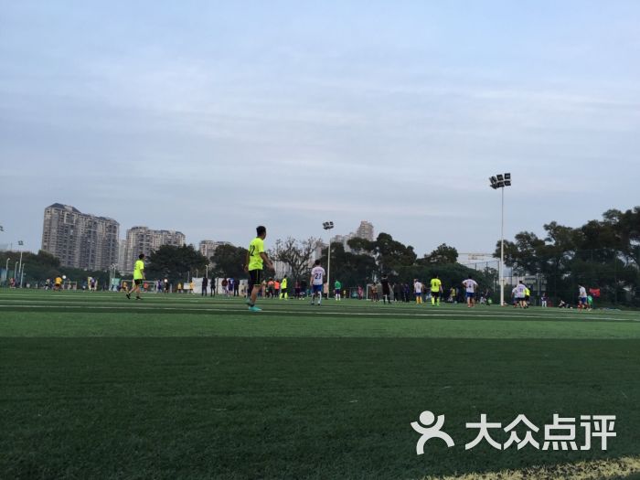 香蜜湖大荣足球训练基地-图片-深圳运动健身