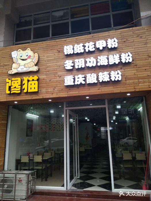 馋猫图片 - 第3张