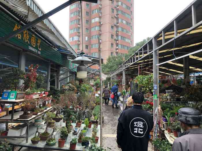 曲阳花鸟市场-"小时候就住在附近,这里的花鸟市场很早就有.