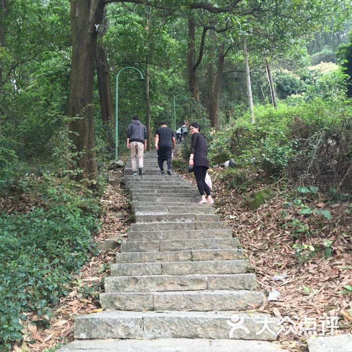蕉石岭森林公园图片 - 第11张