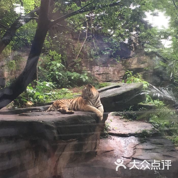 广州动物园