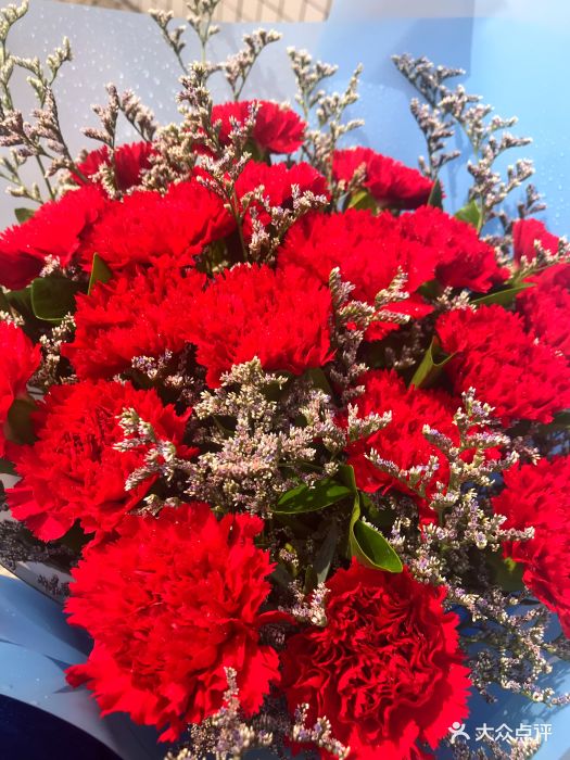 520鲜花店图片 - 第1张