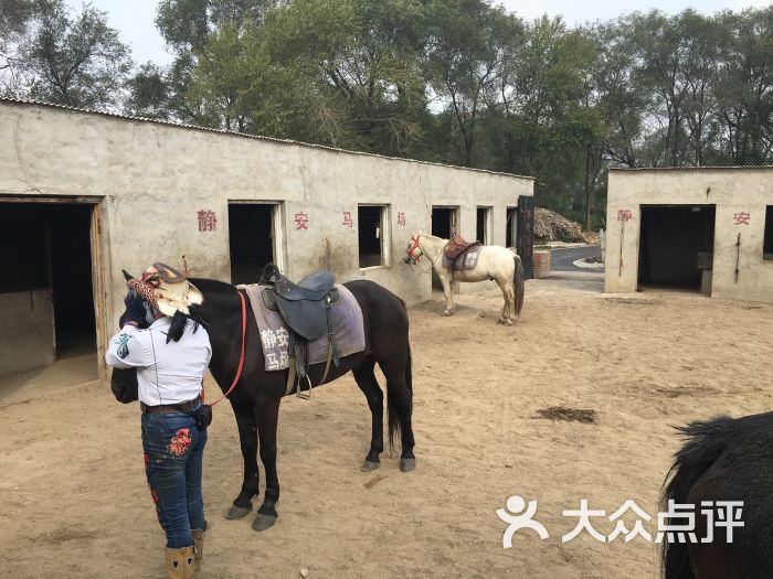 静安马场-图片-沈阳运动健身-大众点评网