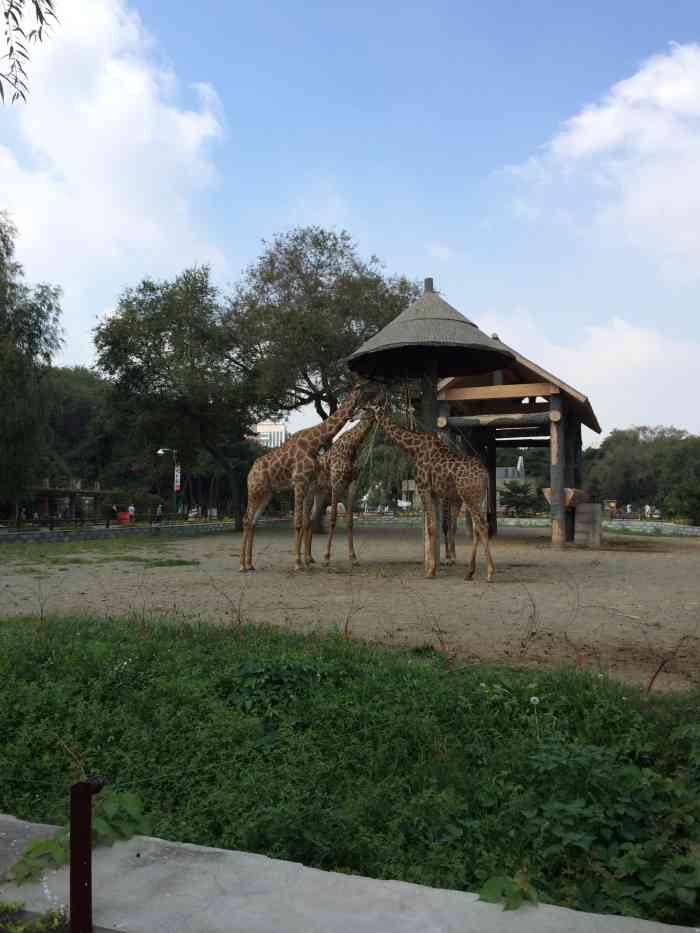 长春动植物公园-"前几天去了长春市动物植物公园,这个