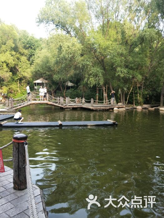 大鹅岛绿色生态园·中餐厅图片 第3张