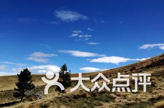 新西兰其他城市公园\/景点排行-新西兰